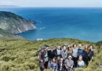 Best Courses to Study Abroad for Jobs in 2025